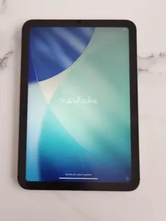 iPad mini6 Wi-Fi + Cellular 64GB スペースグレイ