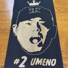 阪神タイガース　優勝記念シークレット選手顔イラストTシャツ優勝ver 梅野隆太郎