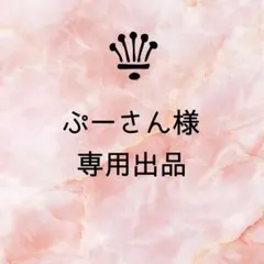 【ぷーさんさま】専用出品