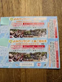 【翌日発送】よみうりランド 入園ご招待券 2枚セット のりもの券付のサムネイル