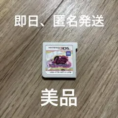 ★ 3DS プリティーリズム マイ☆デコレインボーウエディング