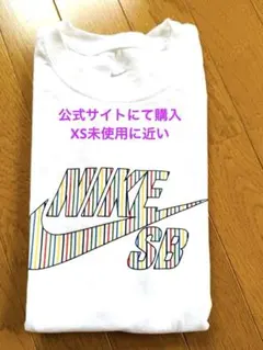 NIKE SB 半袖Tシャツ ホワイト マルチカラーロゴ