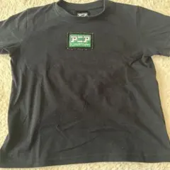 アニア 恐竜 Tシャツ 110
