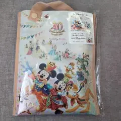 ディズニーランド　40周年　グランドフィナーレ　レジャーシートのサムネイル