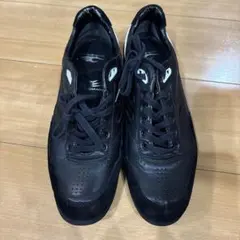 ドラゴンベアード スニーカー