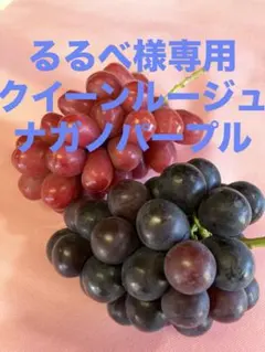 るるべ様専用　信州産　クイーンルージュ、ナガノパープル　2房 新鮮