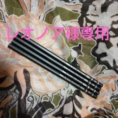 レオノア様専用