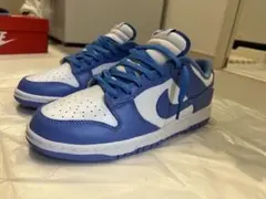 【極美品】Nike Dunk Low Retro 