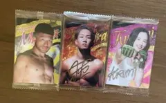 RIZIN トレーディングカード 3枚セット