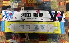 Item thumbnail for item 28f82b4b-2d94-41aa-8dc0-83f2f3a0b23b