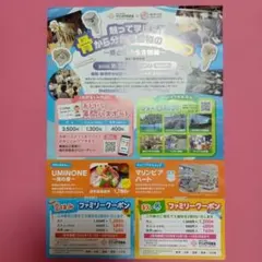 新潟市水族館　マリンピア日本海　割引券　クーポン　ファミリー 夏休み 秋冬のサムネイル
