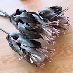 bluemoon様 リクエスト 4点 まとめ商品