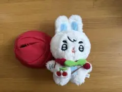 エスクプス　ぬいぐるみ　マスター　15cm エスクプス ぬいぐるみ 10cm seventeen マスター 人形 룹따뚜 - メルカリ