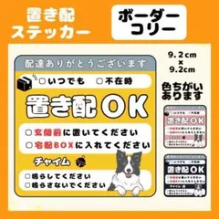【ボーダーコリー】1枚 ステッカー　置き配　宅配　配達　玄関　屋外　カスタマイズ