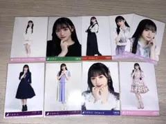 川崎桜 まとめ売り