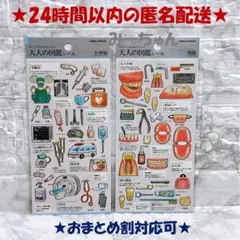 新品未開封　カミオジャパン　大人の図鑑シール　医療　歯　2枚