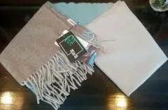 Item thumbnail for item f0cd3dc4-9da7-40bb-8ac2-e0527a33d34d