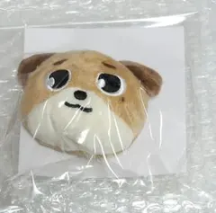 ☆DAY6☆FOREVER YOUNG ぬいぐるみバッチ☆