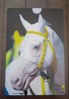 Item thumbnail for item c9e807fd-8796-4617-9c57-a2229167f424