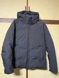 BEAUTY&YOUTH 小松ダウン700フィルダウン　サイズM ダークグレー