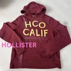 ホリスター HOLLISTER メンズ パーカー 赤 トレーナー フード付きのサムネイル