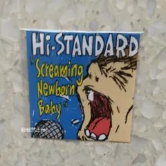 hi-standard ミュージシャン