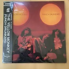 2025年最新】yellow monkey アナログの人気アイテム - メルカリ