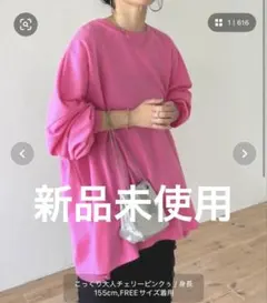 新品未使用/スーパールーズライトスウェッティー