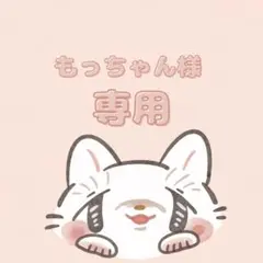 もっちゃん様専用ページ