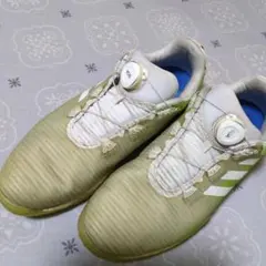 adidas ゴルフシューズ サイン入り 新品未使用 adidas Golf アディダスゴルフ 日本正規品 thintech EXP Cleat