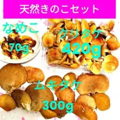 うさかめ様専用、天然きのこセット