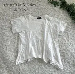 tricot COMME des GARCONS 変形　半袖カットソー　刺繍のサムネイル