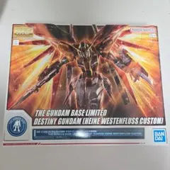 未組立 MG 1/100 デスティニーガンダム ハイネ専用機 ガンプラEXPO
