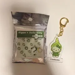 日本館限定 Algae × Hello Kitty