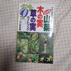 Item thumbnail for item 0beb4285-20e1-4bf7-9349-24556e685dc5