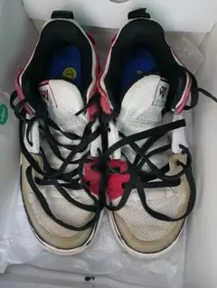 JORDAN ONE TAKE 5 PF 26cm