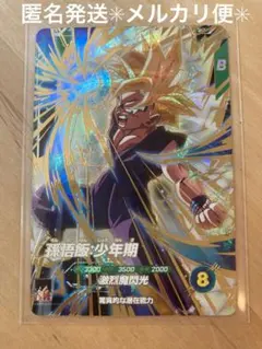 【新品未使用】ドラゴンボールGDR　SDV4-009 孫悟飯:⁠少年期