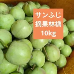 摘果林檎　サンふじりんご　加工用　10kg 送料込み 26のサムネイル
