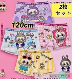 ラブブキャラクターデザインされた120cm 女の子用ショーツ 2枚セット