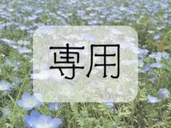 専用出品
