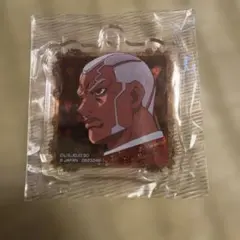 ジョジョの奇妙な冒険 ストーンオーシャン アクリルチャーム