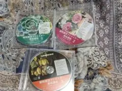 2026年最新】植物雑貨クリエイター養成講座の人気アイテム - メルカリ