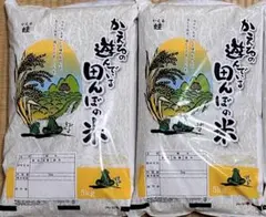 令和7年あさひの夢農家直送！！ 無洗米10キロ キュウリのおまけ付き