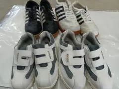 Item thumbnail for item bfd8e5d7-0bea-49af-921c-f5b96e5abe19