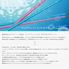 Item thumbnail for item 11c83095-adab-4095-94be-801d211ccfa9