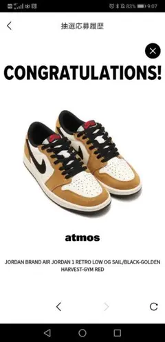 ナイキ エアージョーダン1 ロー　ルーキーオブザイヤー　【新品】28cm