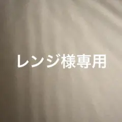 ニンテンドー3DS/2DS 充電器レンジ様限定