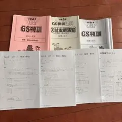 SAPIX 6年 国語 理科 社会 GS特訓 中学受験 開成
