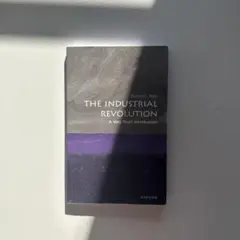 THE INDUSTRIAL REVOLUTION