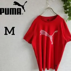 プーマ PUMA 半そで ティシャツ 赤 メンズ 薄手 Tシャツ トップス M